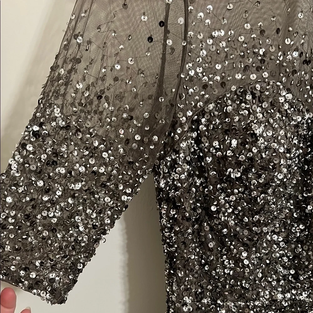 Adrianna Papell Silver Sequin Long Sleeve Mesh Dress - Picture 5 of 8